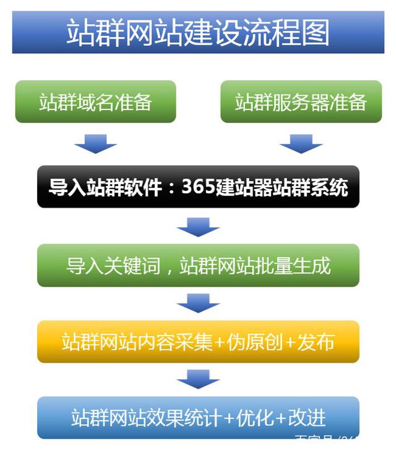 站群程序出售：市场趋势与选择之道